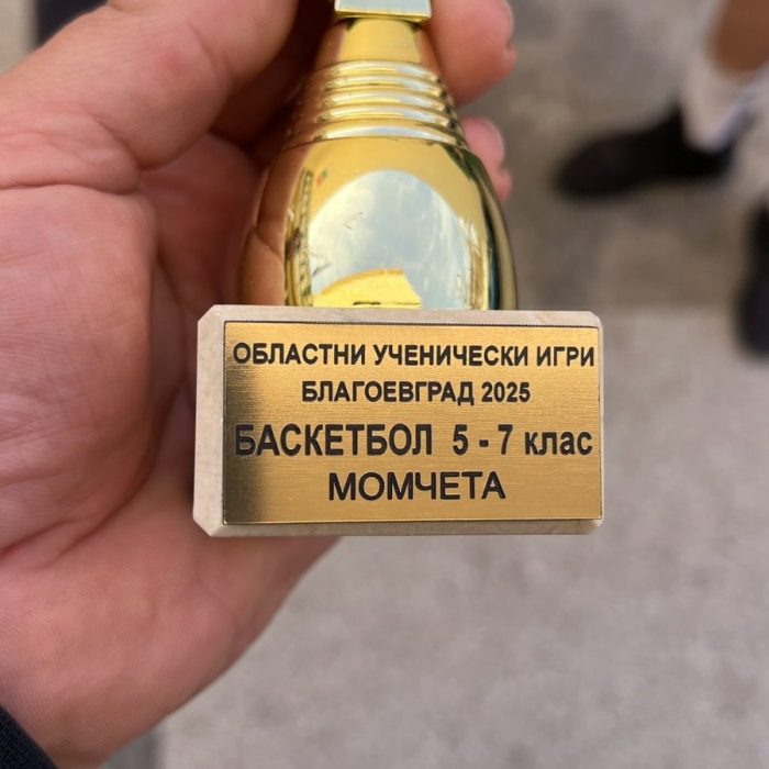 Баскетбол (8)