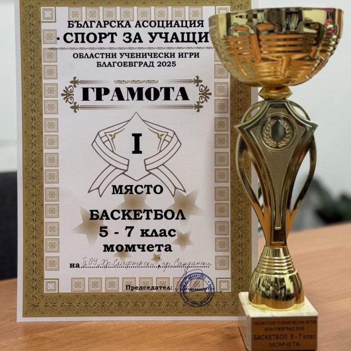 Баскетбол (9)